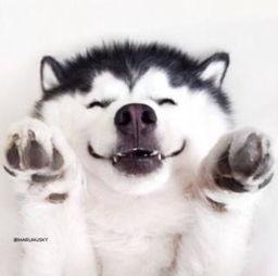 吃瓜小子视频大全,趣味横生的搞笑瞬间大盘点