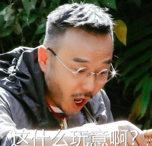大哥吃瓜直播间,揭秘娱乐圈幕后故事