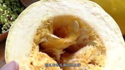 吃会拉丝的瓜,尽享拉丝瓜的美味之旅