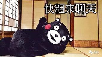 余额不足吃瓜,瓜界风云再起