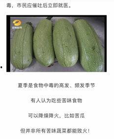 扁圆白色的瓜怎么吃,扁圆白瓜的多样食法探索