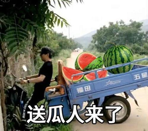 风雨吃瓜,揭秘娱乐圈的幕后风云