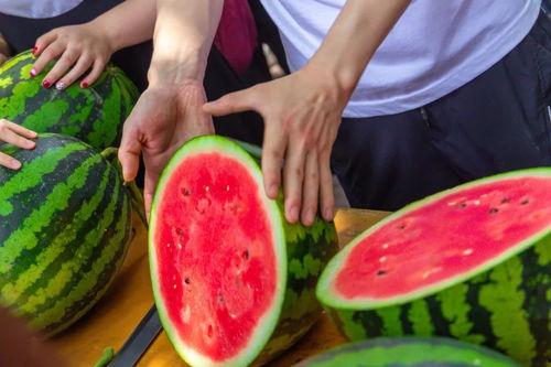 大学操场吃瓜,校园生活里的闲聊时光