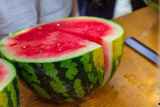 大学操场吃瓜,校园生活里的闲聊时光