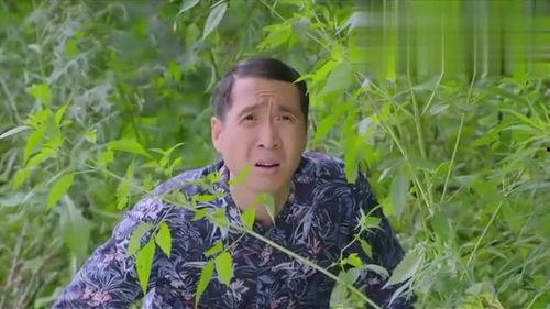 赏景吃瓜,畅享夏日悠闲时光