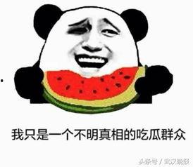 大学专业吃瓜群众,吃瓜群众眼中的专业风云录