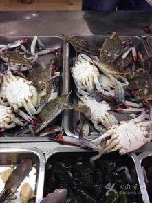 中国吃瓜群众的渔船,吃瓜群众眼中的海上生活画卷