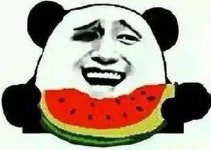 埋头吃瓜的梗,埋头品味人生百态