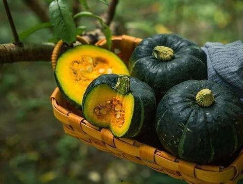 板栗瓜怎么蒸着吃,家常蒸菜新选择