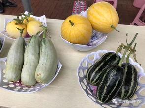 章丘吃大瓜,大瓜的诱惑与美味