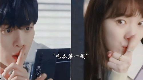 炮灰夫妻吃瓜日常,日常甜蜜与温馨瞬间