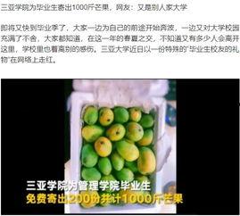 海南学校热点吃瓜,揭秘校园美食风云录