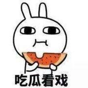 积雪吃瓜表情