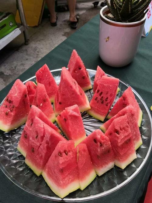 中国吃瓜高手视频,视频中的趣味与智慧