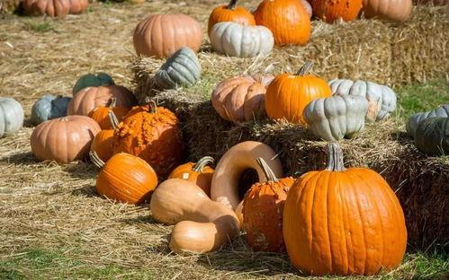 吃瓜群众拼接壁纸,捕捉网络热议瞬间，揭秘热门话题背后的故事