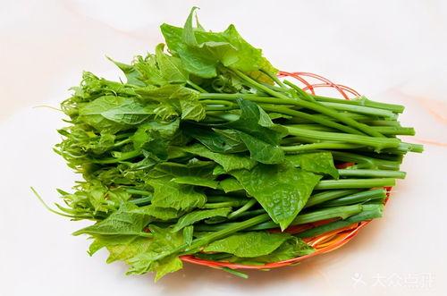 瓜尖杆可以吃,意想不到的美食新发现