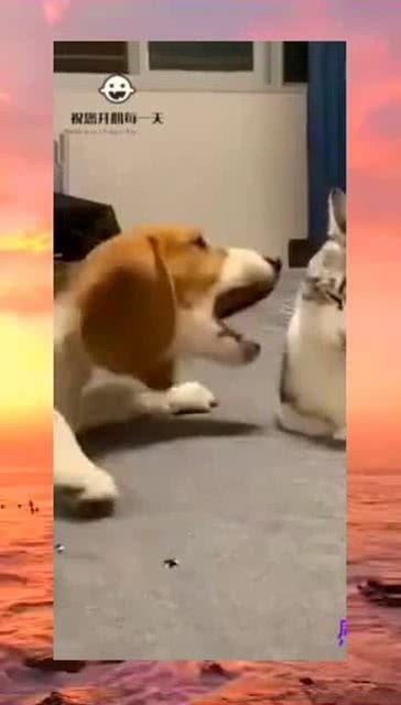 旁边吃瓜群众抢眼,吃瓜群众抢眼瞬间