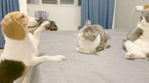 旁边吃瓜群众抢眼,吃瓜群众抢眼瞬间