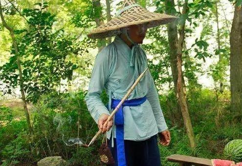 吃瓜客观,吃瓜群众眼中的明星生活