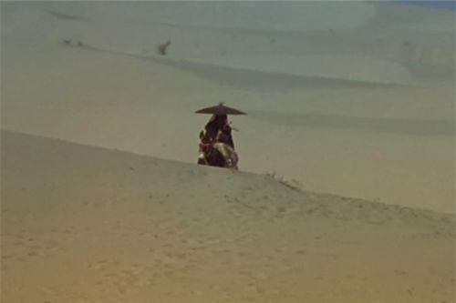 吃瓜十三娘,揭秘娱乐圈背后的那些事儿