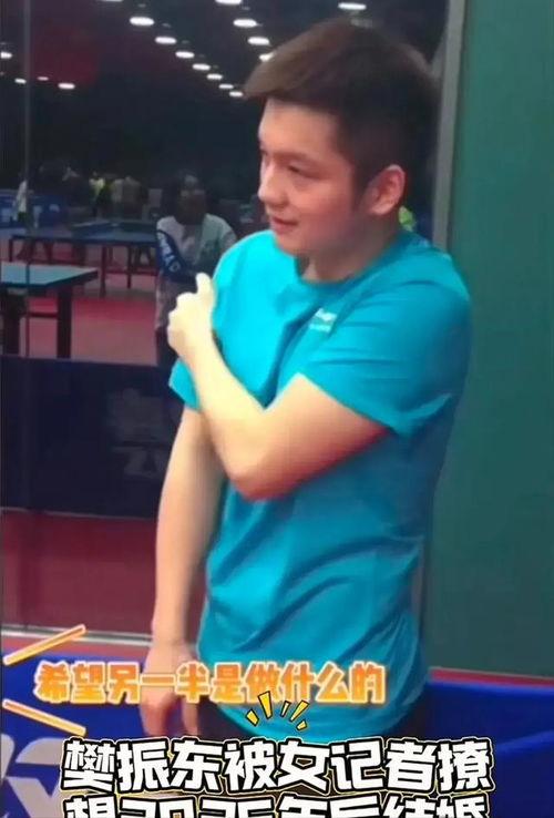 樊振东吃瓜,揭秘乒乓球名将的“瓜田”生活”