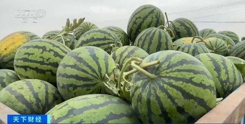 曹县吃瓜网站,揭秘网络热点的背后故事