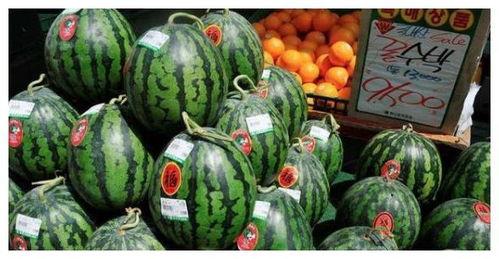 买瓜老板吃瓜,瓜中滋味尽收眼底