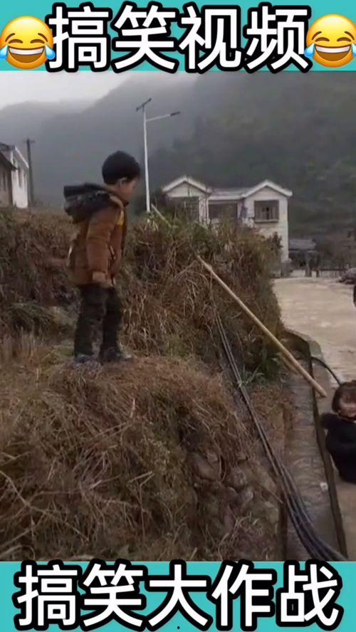 吃席吃瓜的动态图