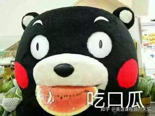 吃瓜多了怎么形容