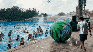 吃瓜飞池,揭秘娱乐圈背后的那些事儿