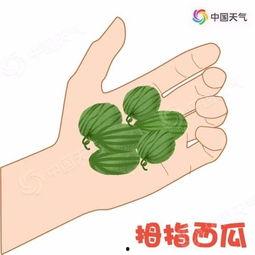 吃瓜飞池,揭秘娱乐圈背后的那些事儿