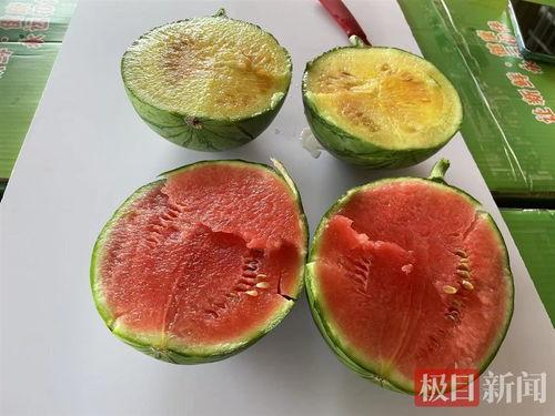 吃瓜飞池,揭秘娱乐圈背后的那些事儿