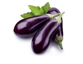 吃瓜茄子小说,揭秘神秘世界的奇幻之旅