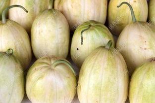 哺乳可以吃蒲瓜吗,营养与安全的探讨