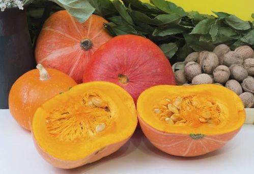 南瓜吃瓜网站,揭秘网络娱乐新潮流