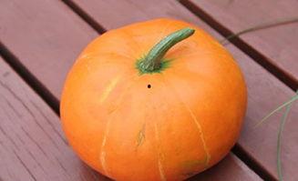 吃瓜系统功能,轻松掌握热门资讯，畅享娱乐盛宴