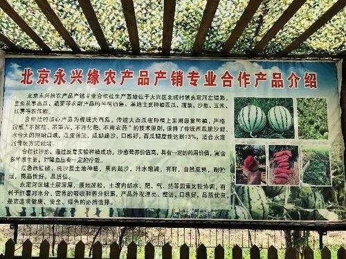 北京头条吃瓜群众,揭秘吃瓜群众的幕后故事”