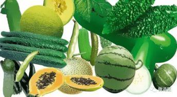 亭园吃瓜,悠闲吃瓜时光