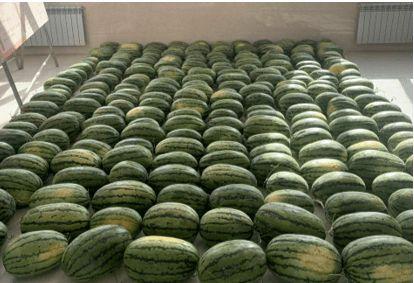 福建校园吃瓜,揭秘校园里的那些事儿