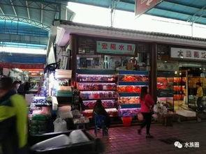 广州吃瓜站,吃瓜站带你探秘地道风味