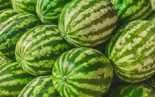 福州小鲜花吃瓜,揭秘吃瓜背后的故事与趣味