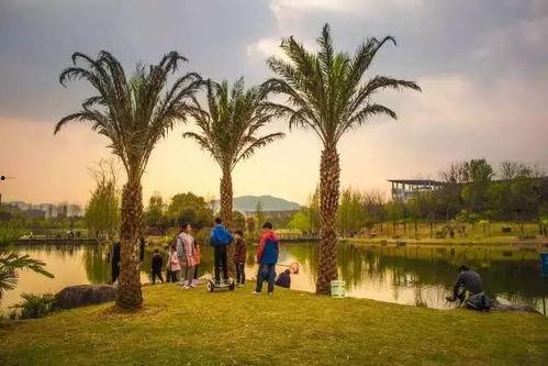 吃瓜浙农林,揭秘校园里的那些“瓜”