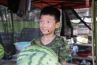 张天宇吃瓜,揭秘娱乐圈幕后故事