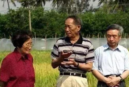 老同学吃瓜,揭秘校园往事