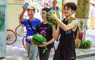 甘肃高校吃瓜,瓜果飘香，校园风味大揭秘