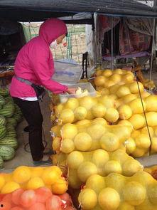 甘肃高校吃瓜,瓜果飘香，校园风味大揭秘