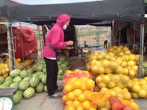 甘肃高校吃瓜,瓜果飘香，校园风味大揭秘