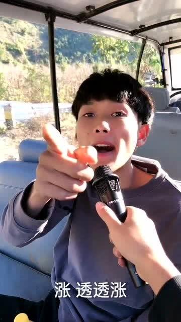 天天吃瓜吃不赢了