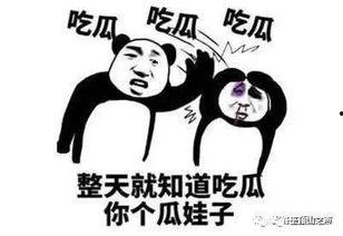 天天吃瓜吃不赢了