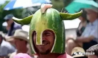 天天吃瓜吃不赢了